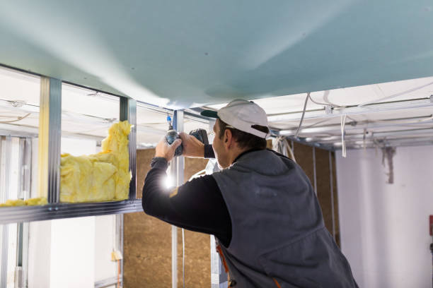 Best Insulation Materials and Products in Morrisville, VT
