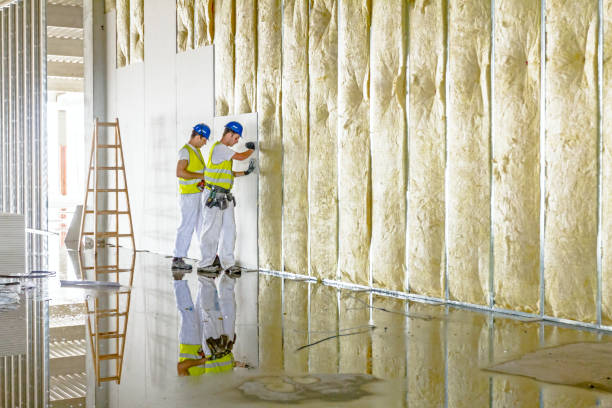 Best Insulation Installation Services in Morrisville, VT